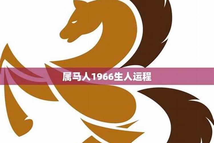 属羊的今年多少岁2022年多少岁