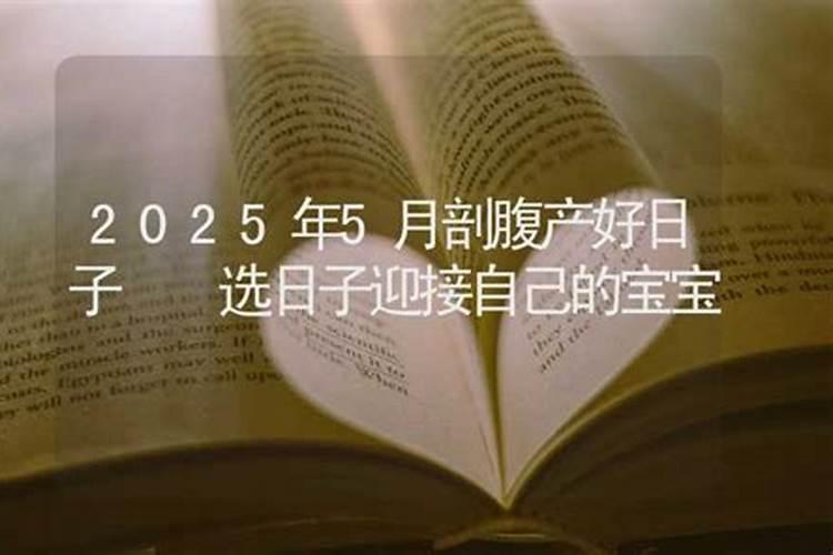 蛇出生今年运气怎么样