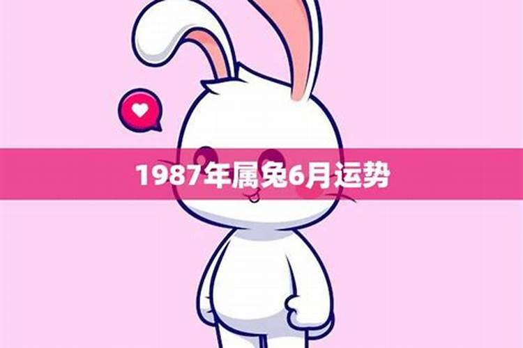 2024年猪年生人运势如何