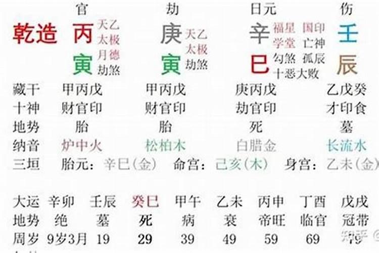 2023年43岁的人是属什么生肖呢