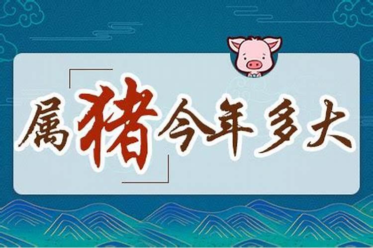 害太岁的最佳解决2025年方法