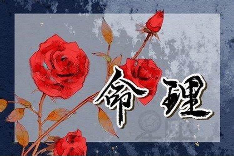 梦见前女友来找我复合我同意了