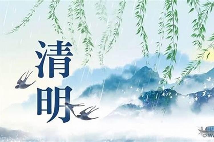 清明祭祖晚辈