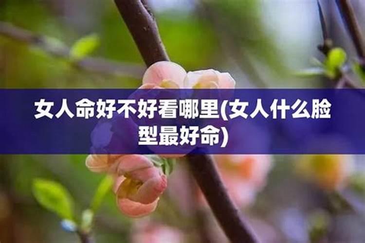 属猪晚婚比较幸福