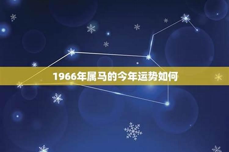 1966男性属马今年运势