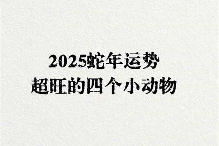 96年属鼠的2025年运势