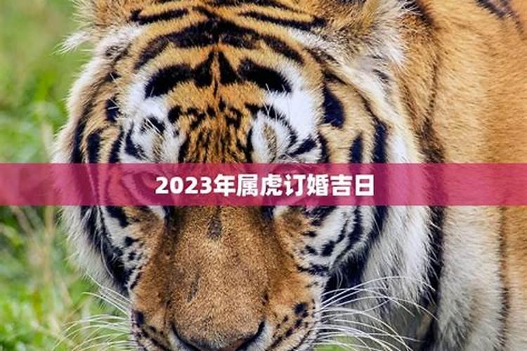 79年属狗2024年运势如何