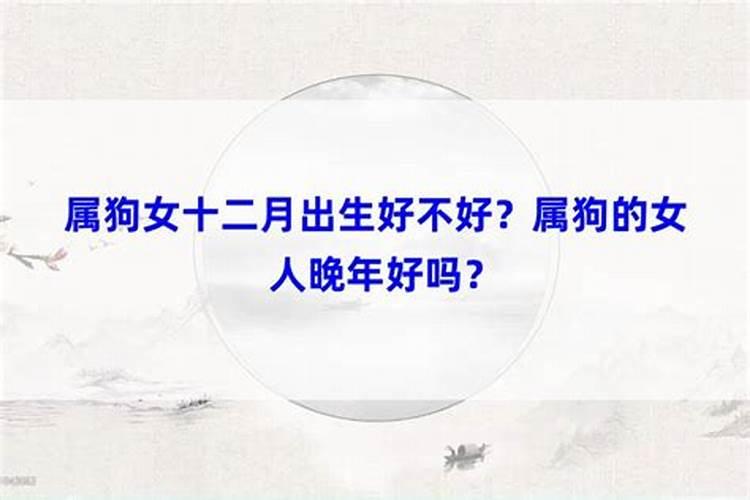 农历12月属狗运程怎样