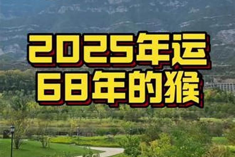 梦见被一只熊追到掉山崖了什么意思