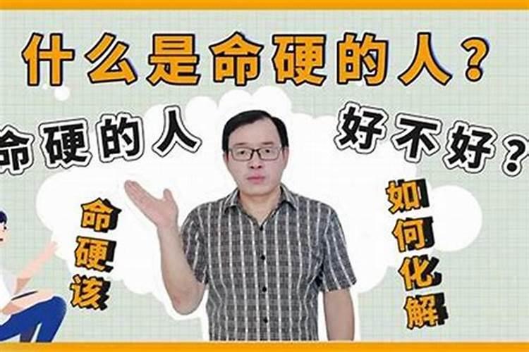 属鼠的2023的运势运程如何