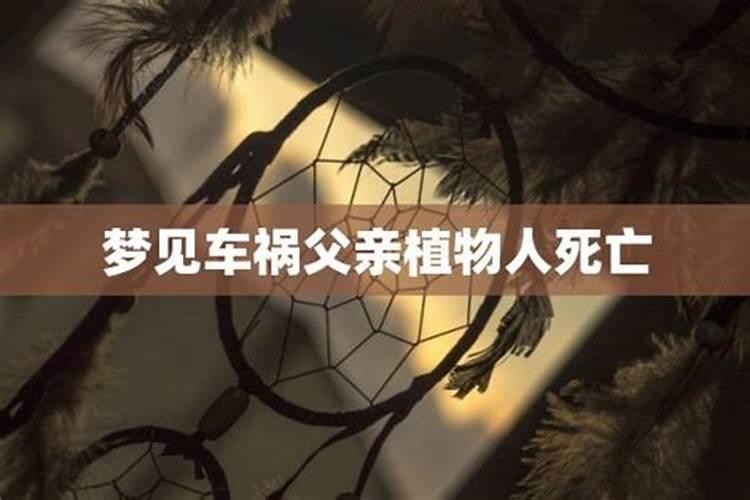 梦见父母相继去世了