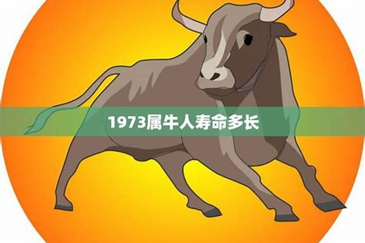 1973年属牛是什么木命