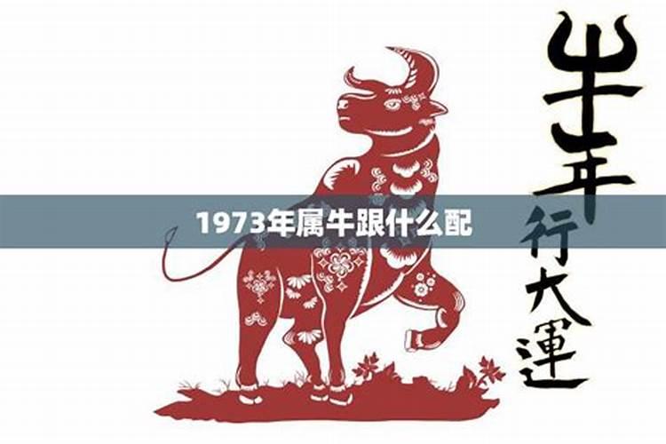 1973年属牛的是什么座