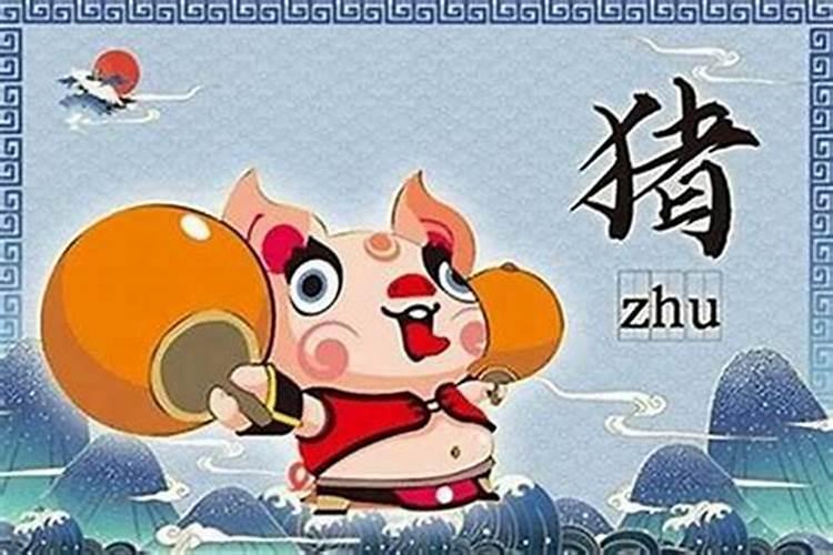 属猪人今年命犯什么太岁