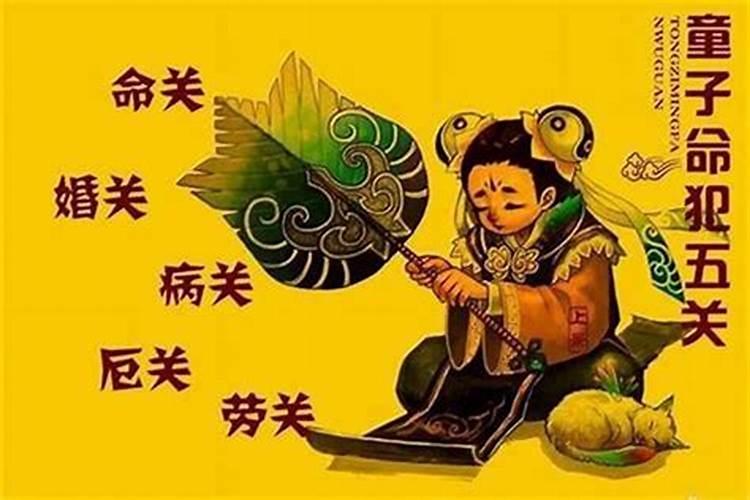 生肖属虎人十年运程如何看