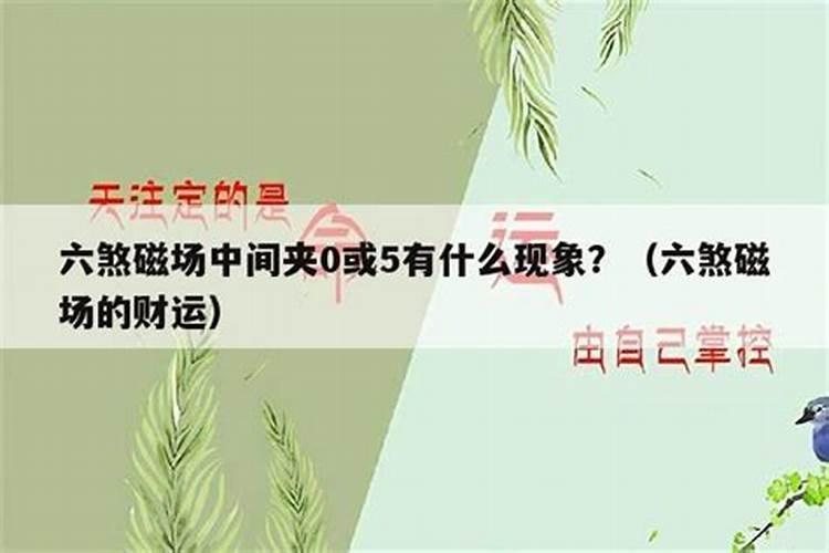 狮子座今年的运势好不好