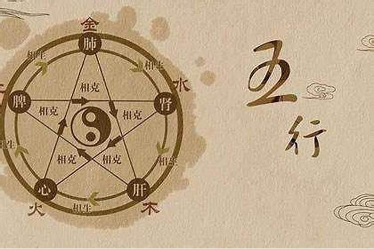 2023年属猴的人幸运数字