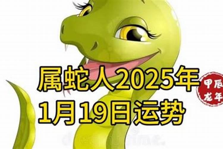 2023年属龙天秤座全年运势