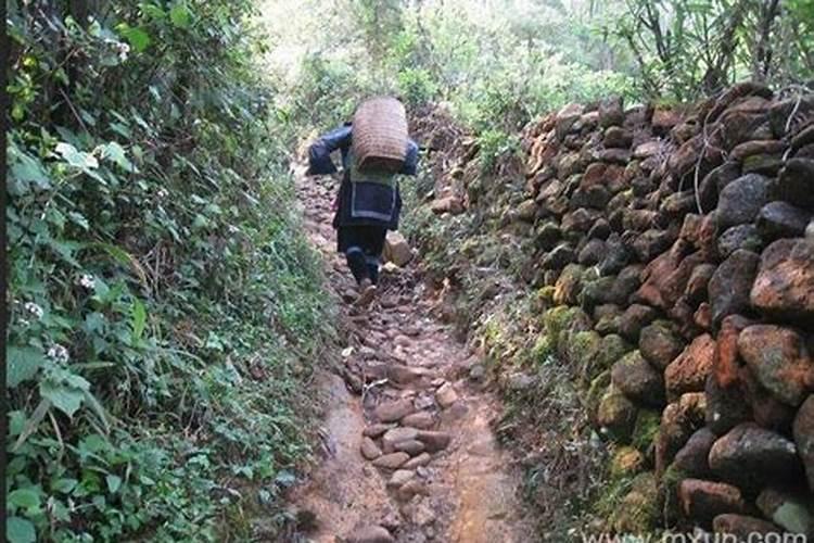 梦见回家的路坑坑洼洼的