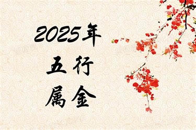 属龙今年运气好不好