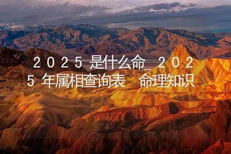 八二年在2023年运势