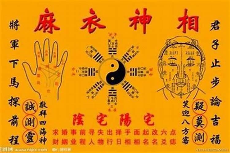 女人梦到大蛇是什么征兆