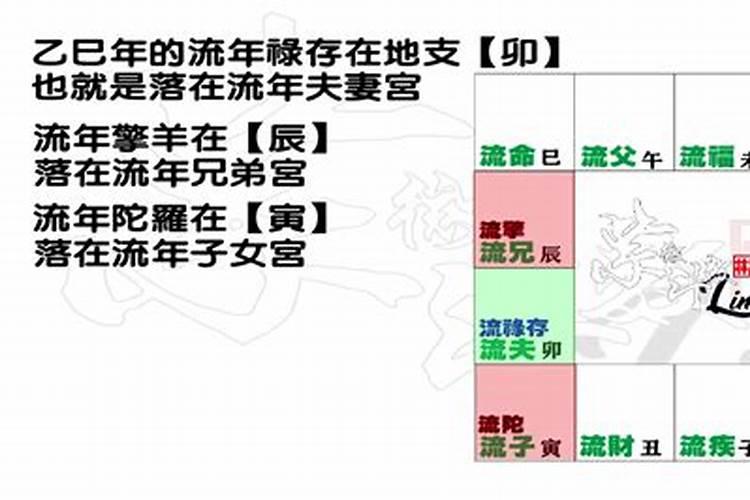 71年猪人2023年每月运势运程