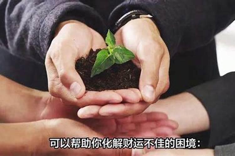 没财运怎么化解