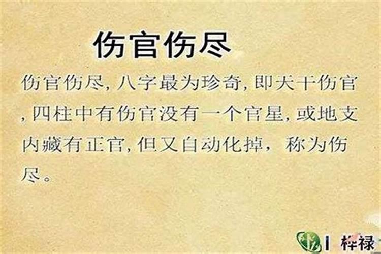 属猪身边小人属相是什么生肖