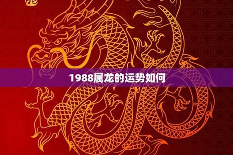 1988属龙今年运势