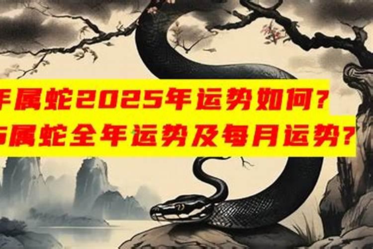 白羊座的专属宝石是什么意思啊