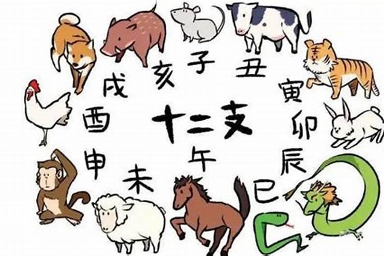 猪的地支犯太岁吗