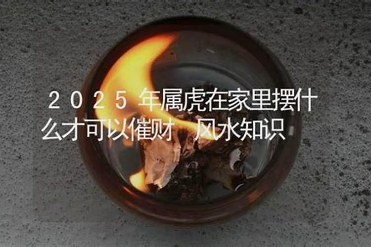 虎年犯太岁家里适合放些什么植物