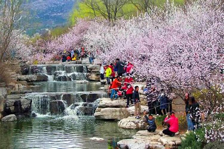 清明节去哪里扫墓