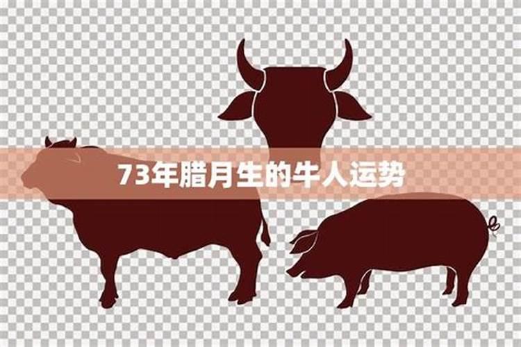 属鸡的今年多大2021年多大