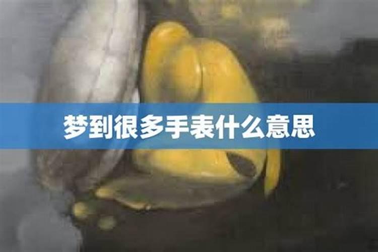 女人梦见好多手表