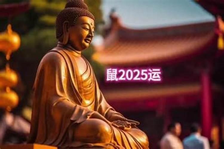 2025鼠犯太岁怎么办