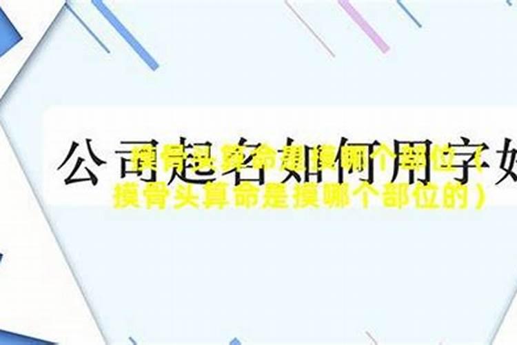 2024年属鸡的学业怎么样