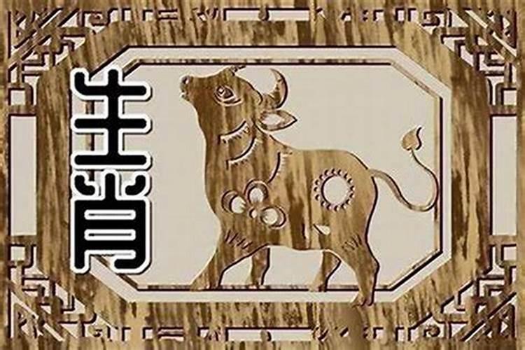 生肖蛇今年运气