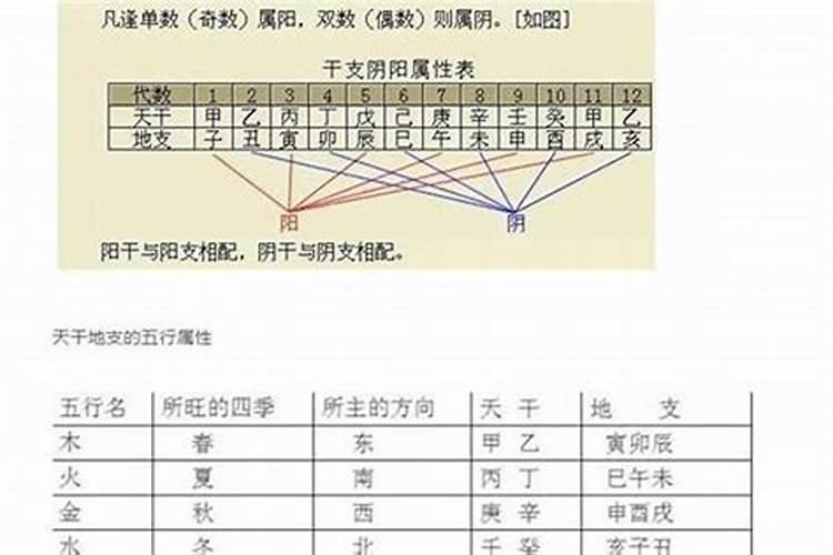 农历七月十五鬼节家里进猫