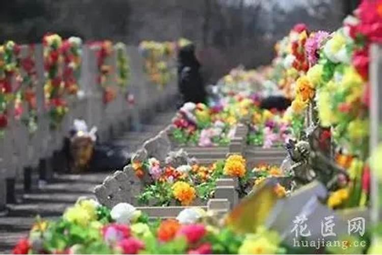 清明节用鲜花祭拜祖先