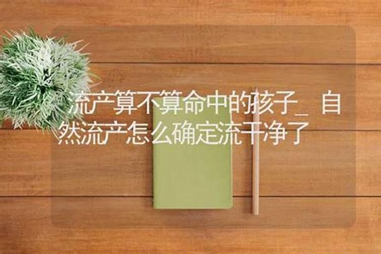 双子座今年的运气如何