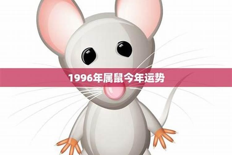 1996今年属鼠的运程