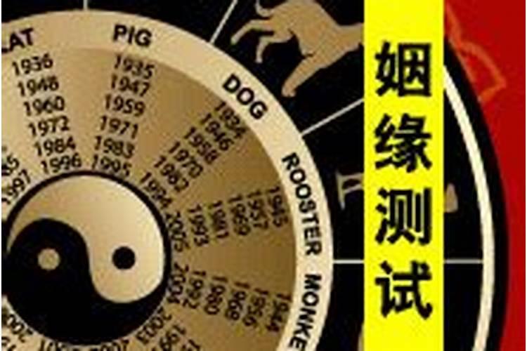 2024年88年属龙的运势如何