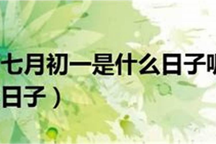 梦见到海边捡了好多海螺