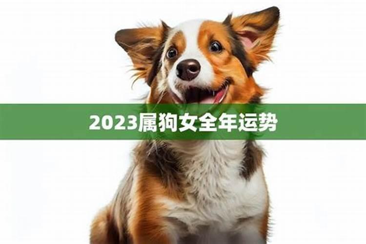 1994年属狗2023年运势及运程女性