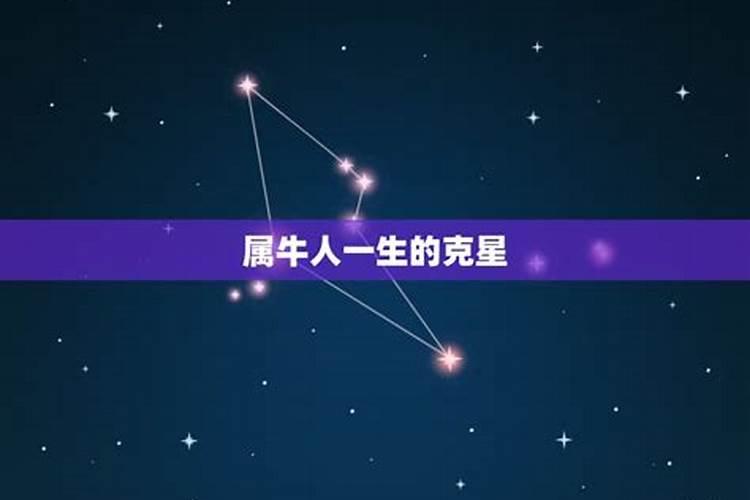 属牛人命中的克星