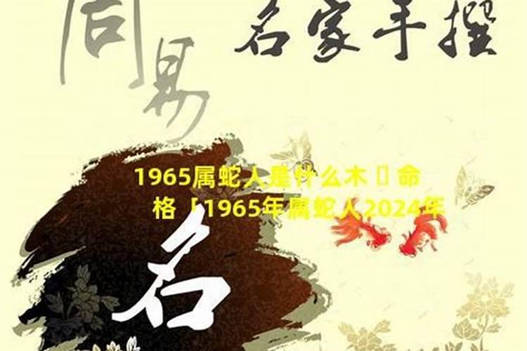 属羊的1965年运势如何