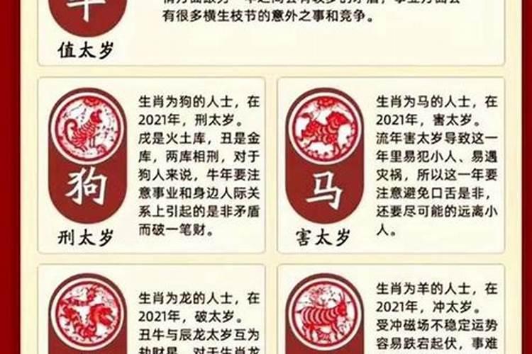 2023年不同年份十二生肖运势，看看你的运势怎么样呢