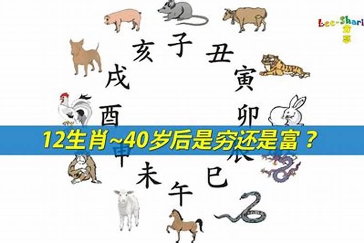 穷困潦倒莫似猪是什么生肖